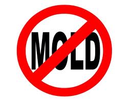 No-Mold