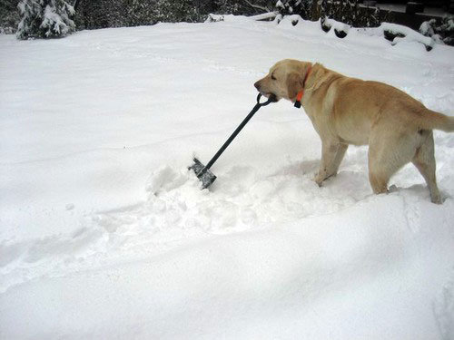 Shoveling-snow